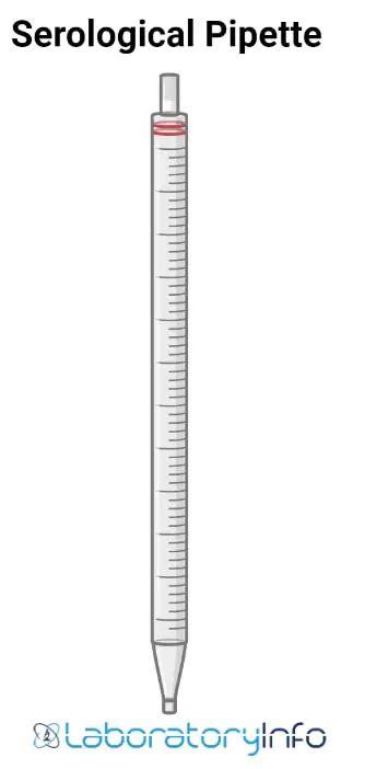 serologic pipette drawing